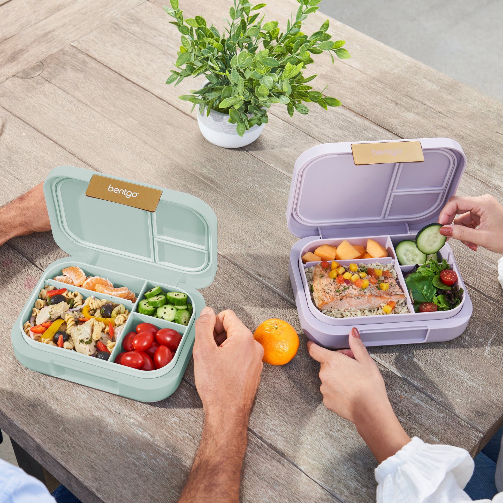 bentgo-modern-lunch-box-2-pack-m2 COSTCOBMCPRODUCTIMAGE_2.jpg